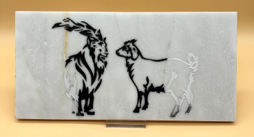 Walliser Schwarzhalsziege